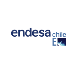 Endesa Chile